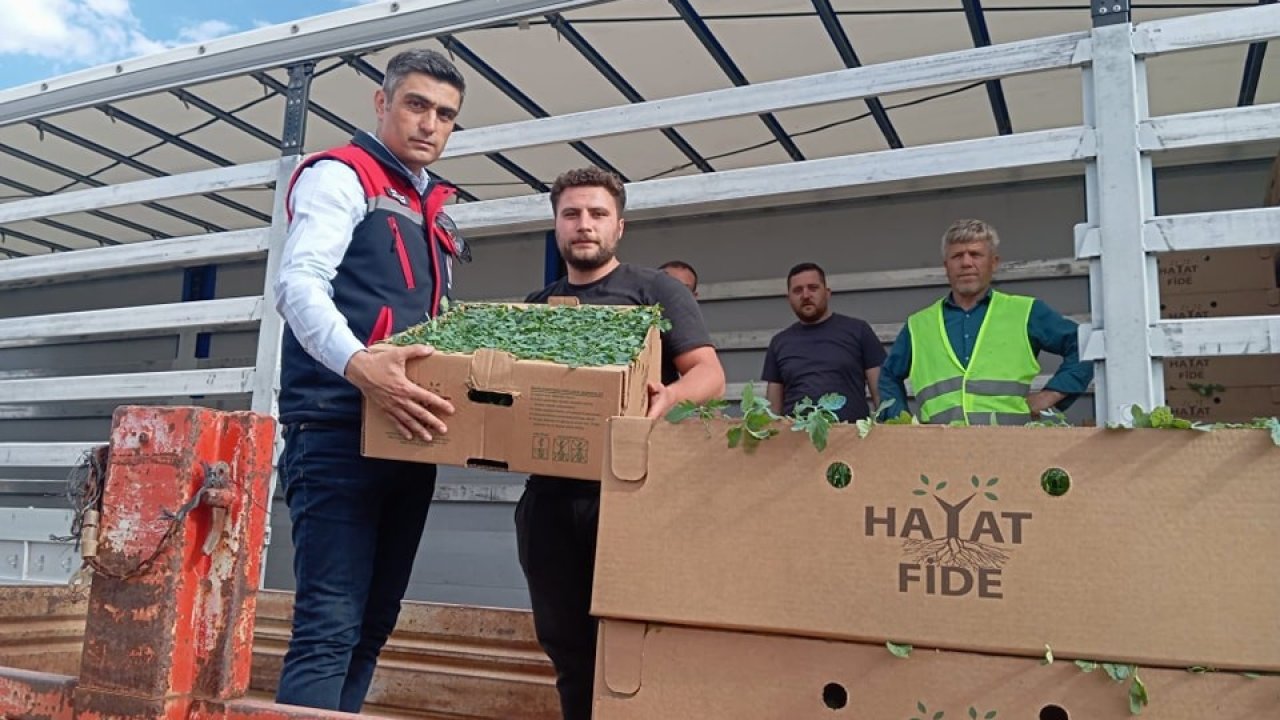 ‘Domates Yetiştiriciliğinin Geliştirilmesi’ projesi sürüyor