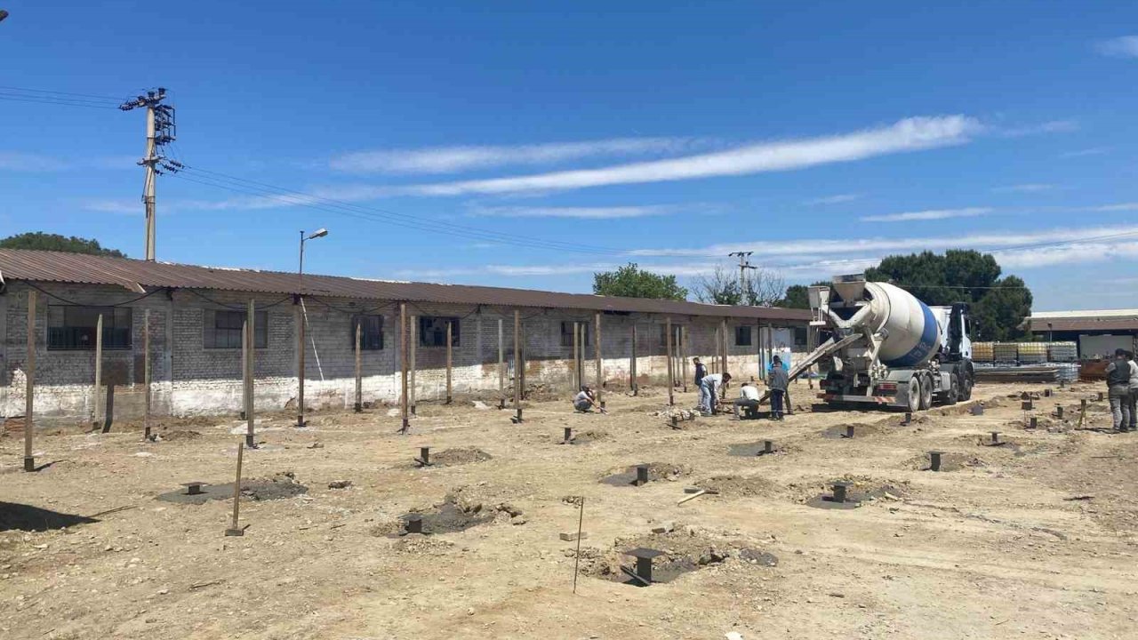 Turgutlu Belediyesinden sahipsiz can dostların yaşam şartlarını iyileştirecek çalışma