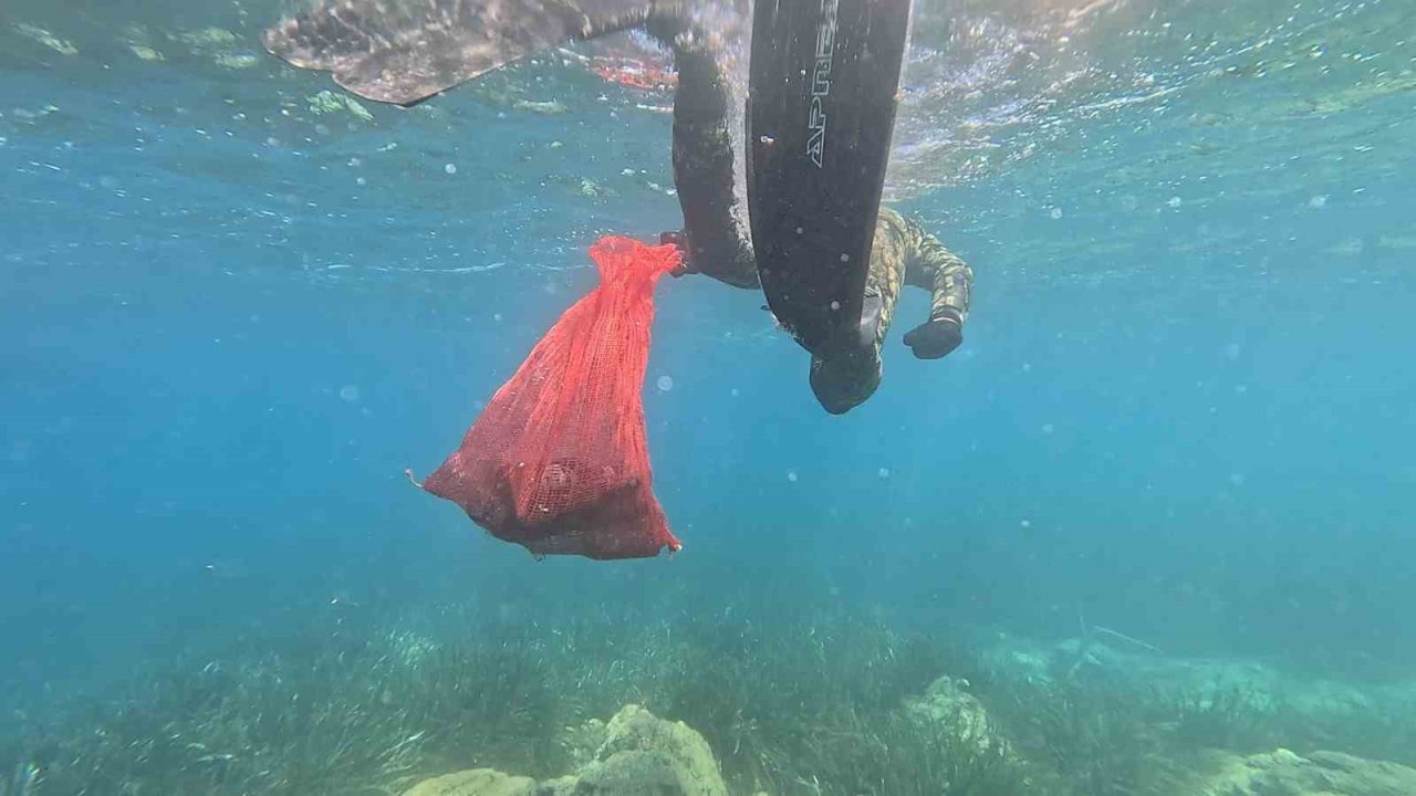 Bodrum’da deniz dibi temizliği başladı