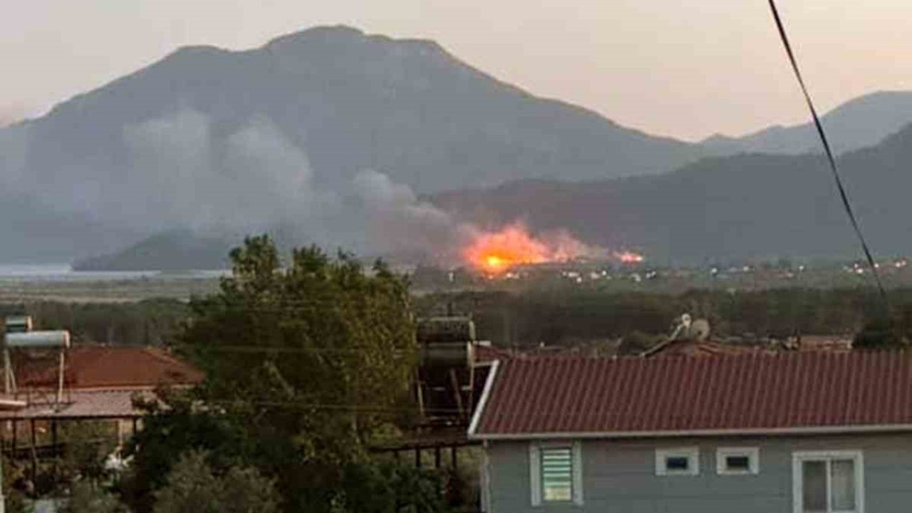 Köyceğiz’de sazlık alanda yangın çıktı