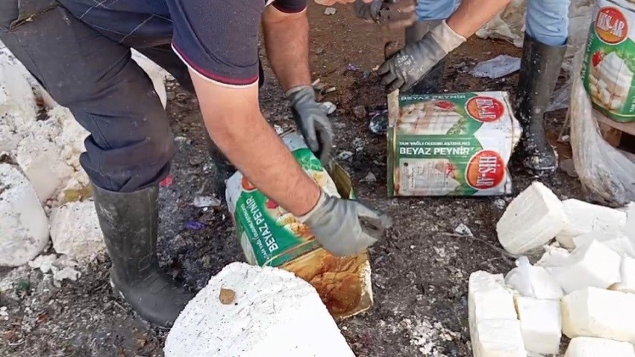 Gıda teröristleri tonlarca bozuk peyniri vatandaşa yedirecekti