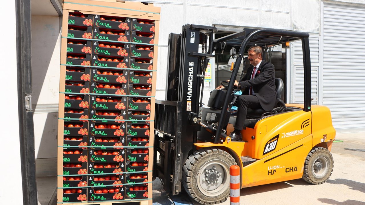 Kula’nın jeotermal serasından Avrupa’ya 500 ton domates ihracatı