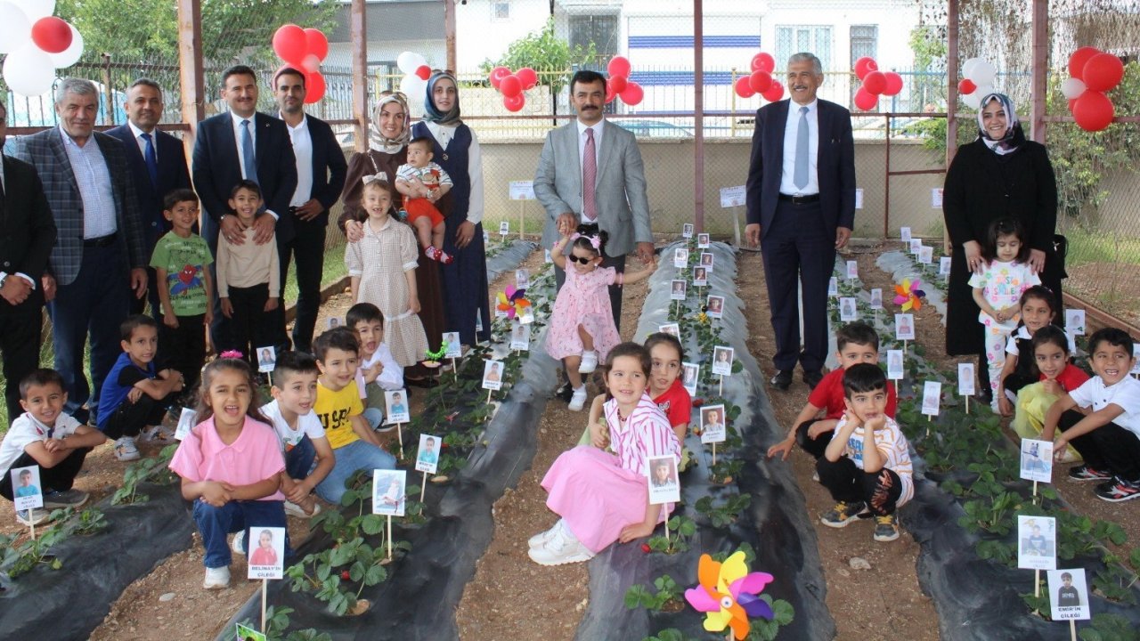 Kahta’da miniklerden çilek hasadı