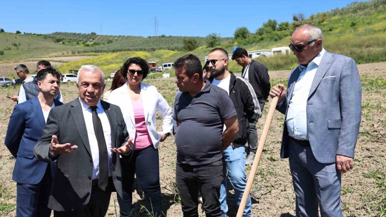 Konaklı’da 800 zeytin fidanı toprakla buluştu