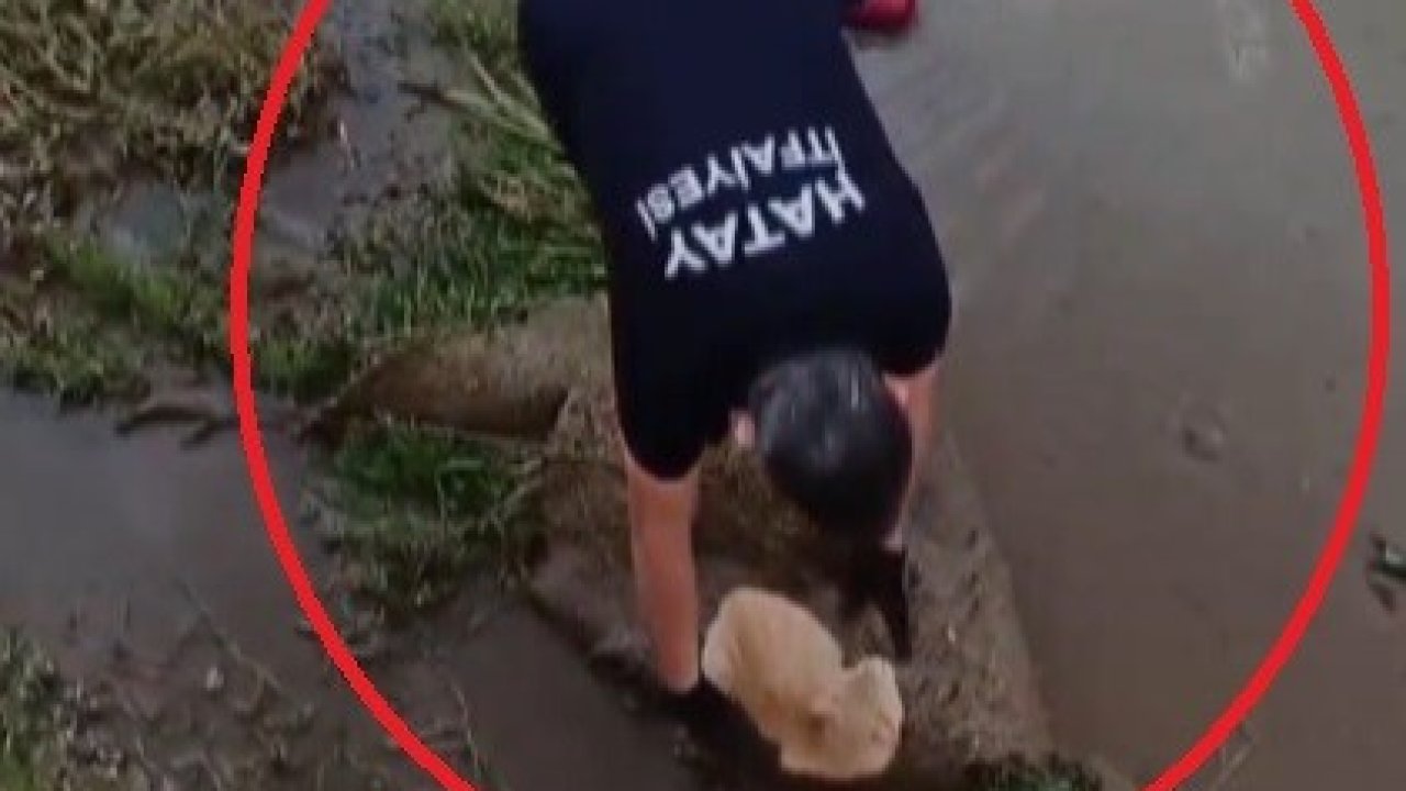 Su kanalında mahsur kalan kedinin yardımına itfaiye ekipleri koştu