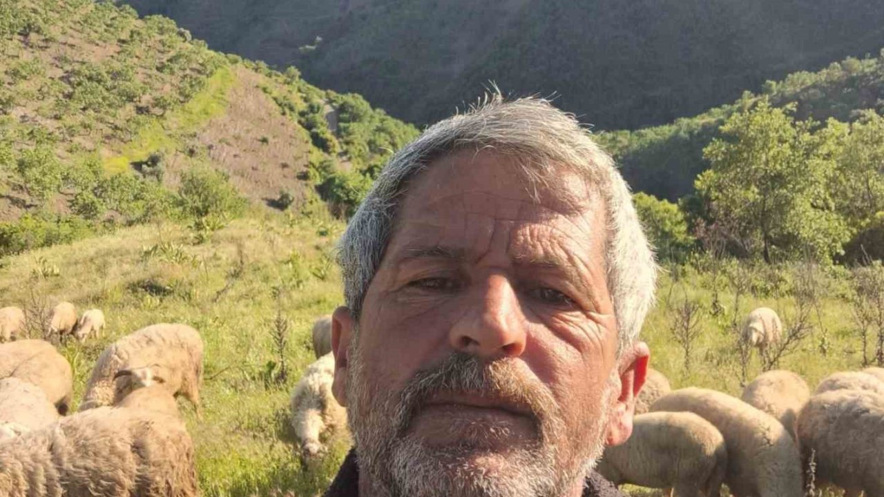 Aydın’da Yörüklerin yayla yolculuğu başladı