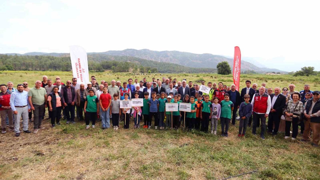 Köyceğiz Döğüşbelen’de 400 dekar meralık alan açıldı