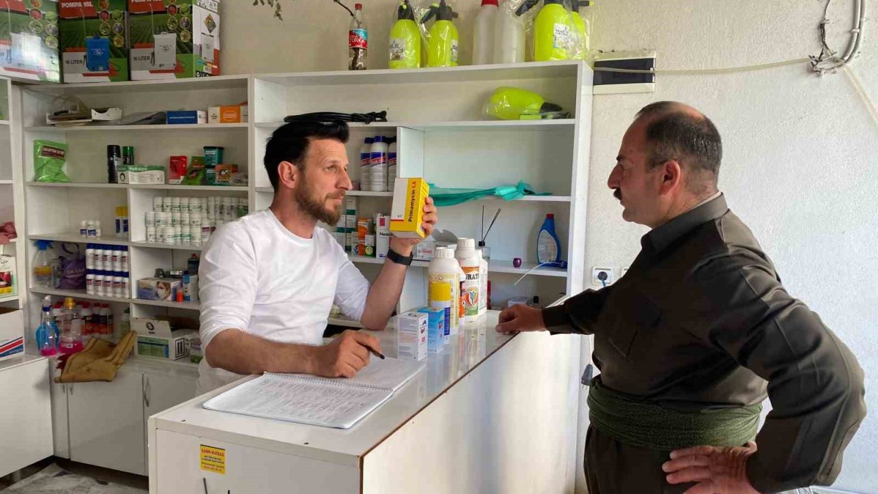 Derecik’te şap hastalığına karşı sıkı önlemler