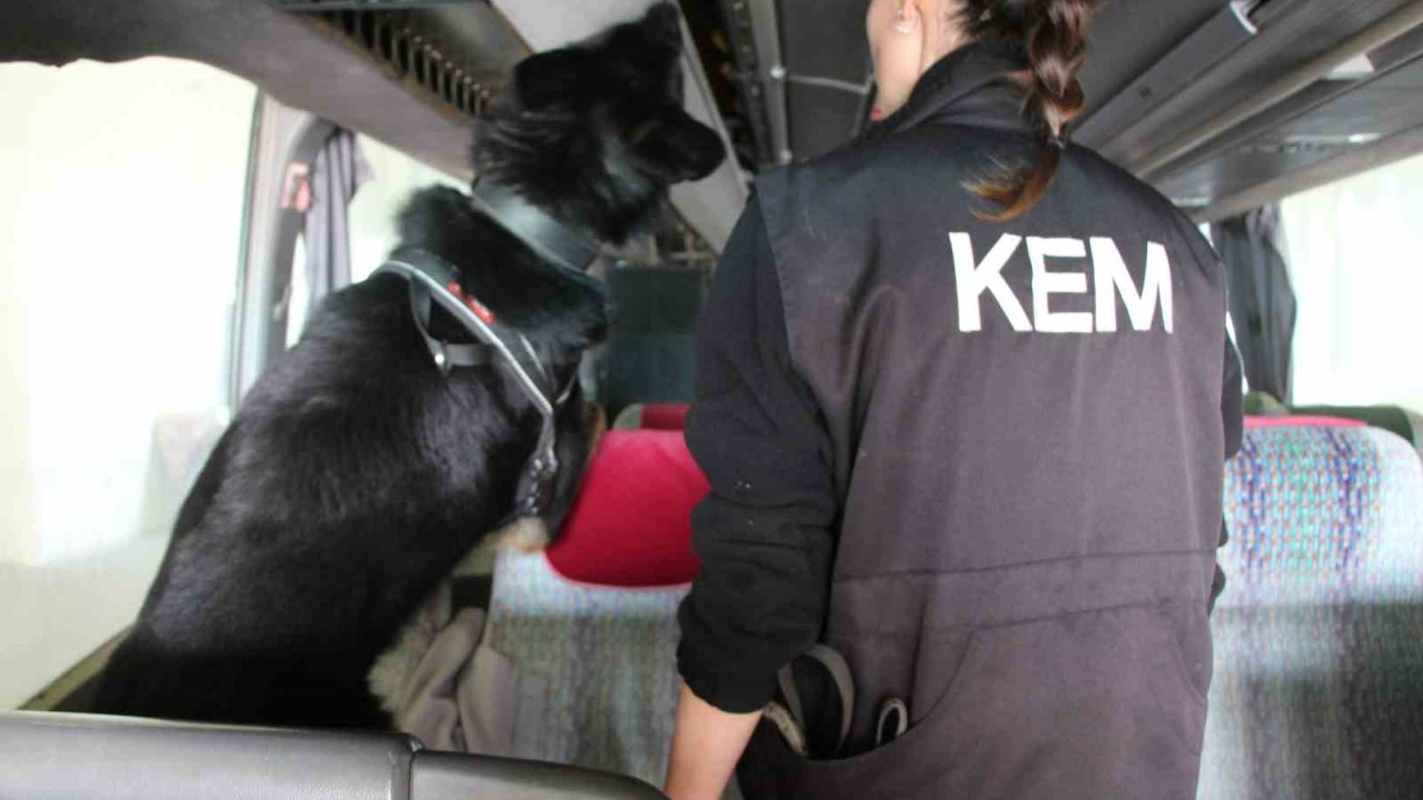 Kapıkule’de 77 kilo ecstacy ele geçirildi