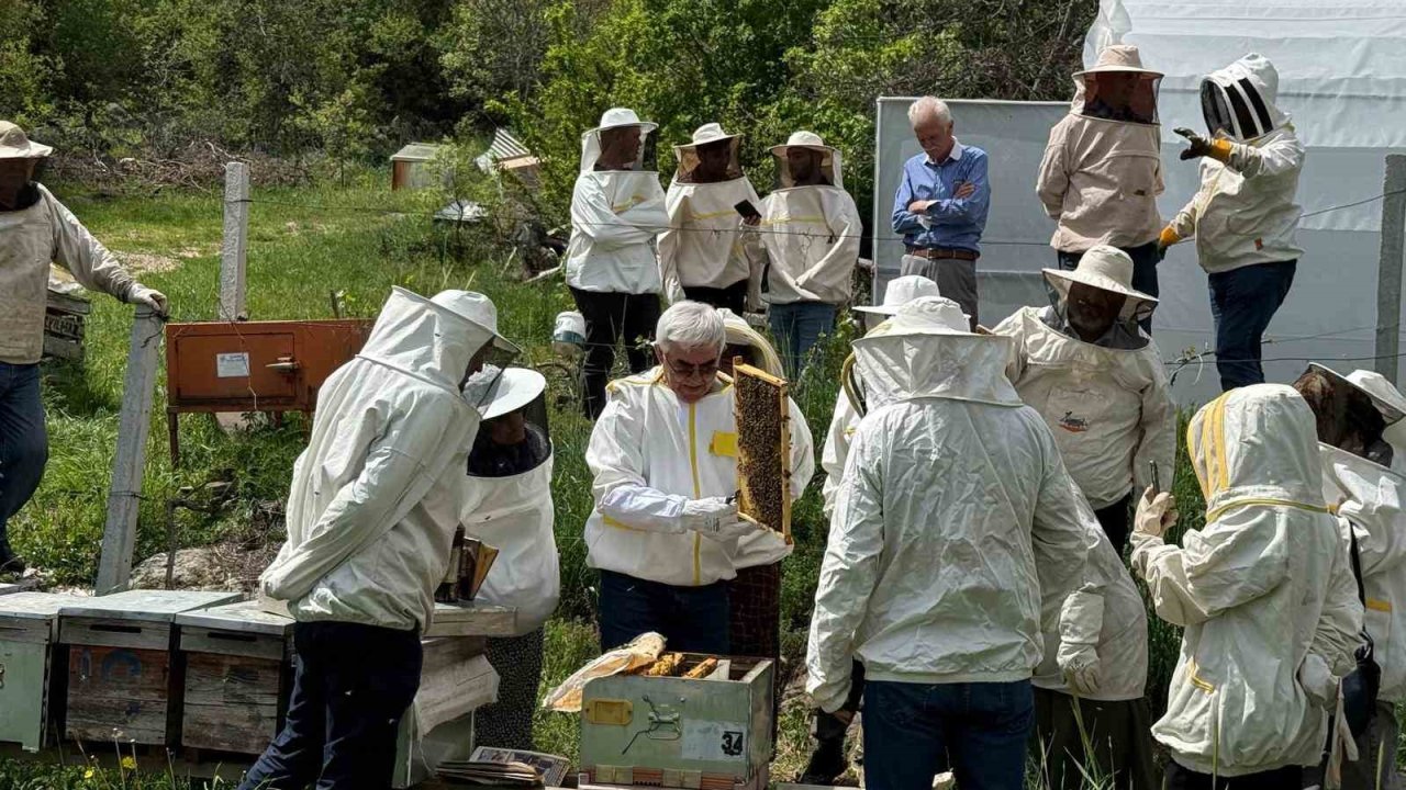 Bolu’nun dört bir yanından arı kursuna yoğun ilgi