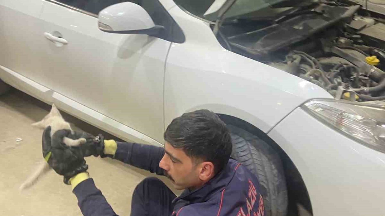 Elazığ’da aracın motor kısmına sıkışan kedi, itfaiye tarafından kurtarıldı