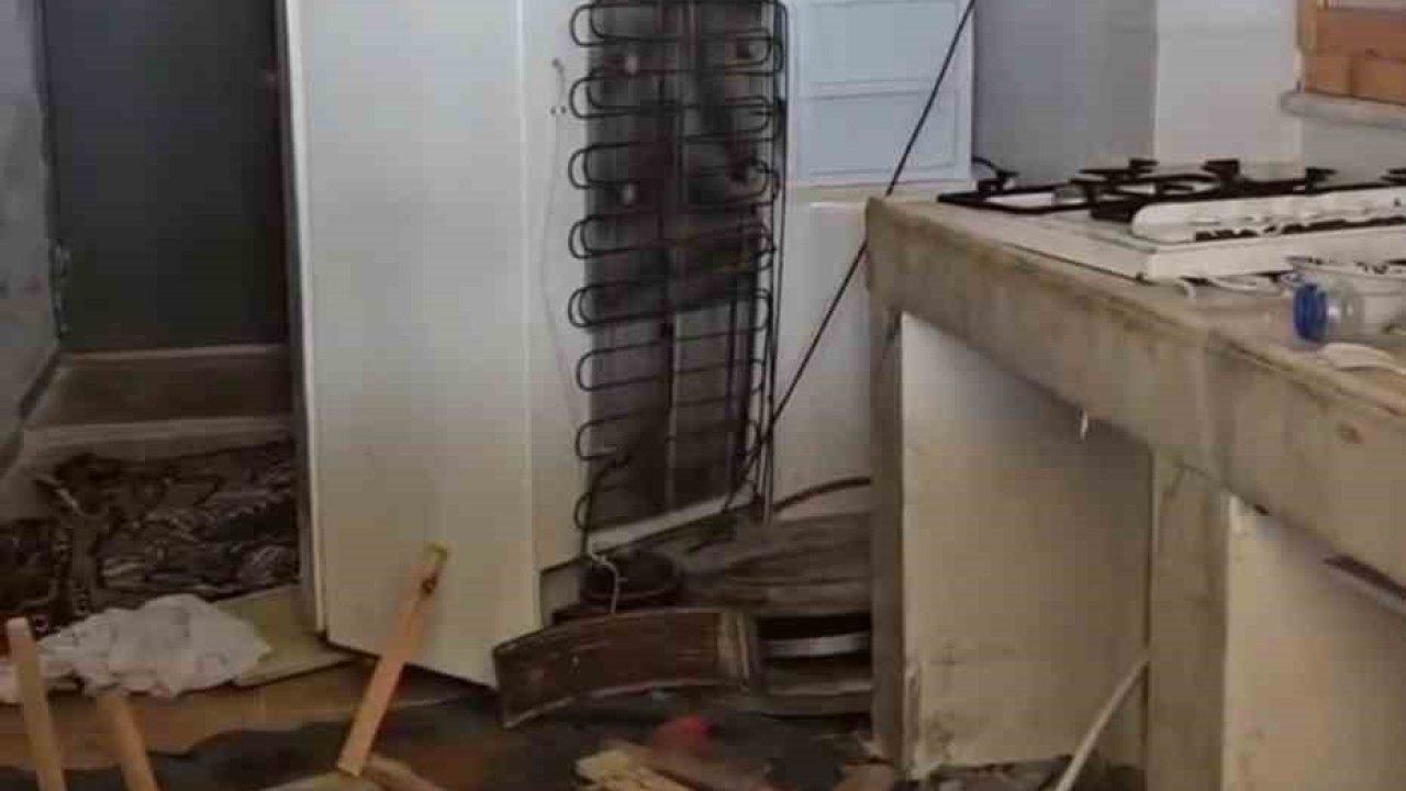 Ayılar bu kez belediye başkanının evine girdi