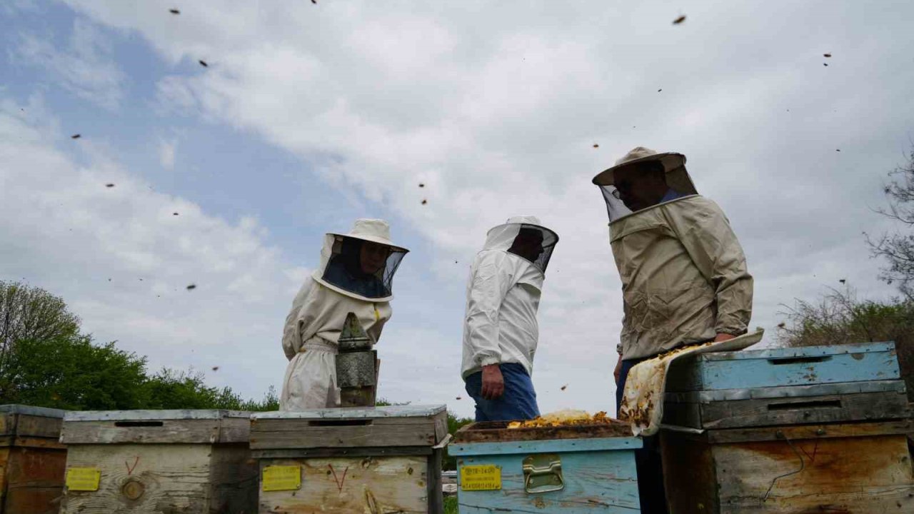 Erzincan’da 100 bin üzeri kolonide 1 milyon kilogram bal üretiliyor