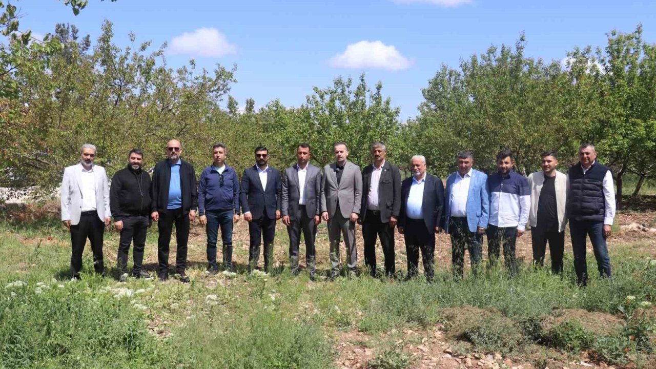 Karademir," "Malatya kayısısız kalırsa ekonomi durur"