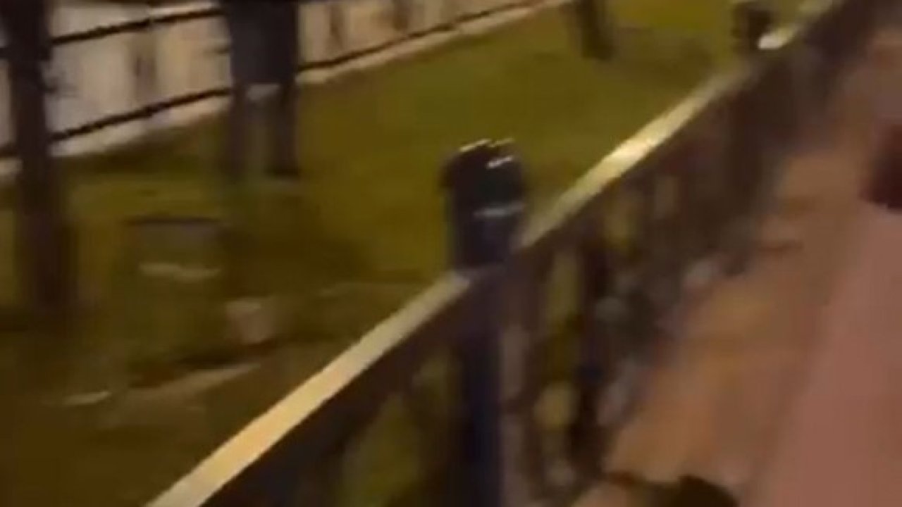Bursa’da Türk bayrağını yakmaya çalışan şahıs yakalandı