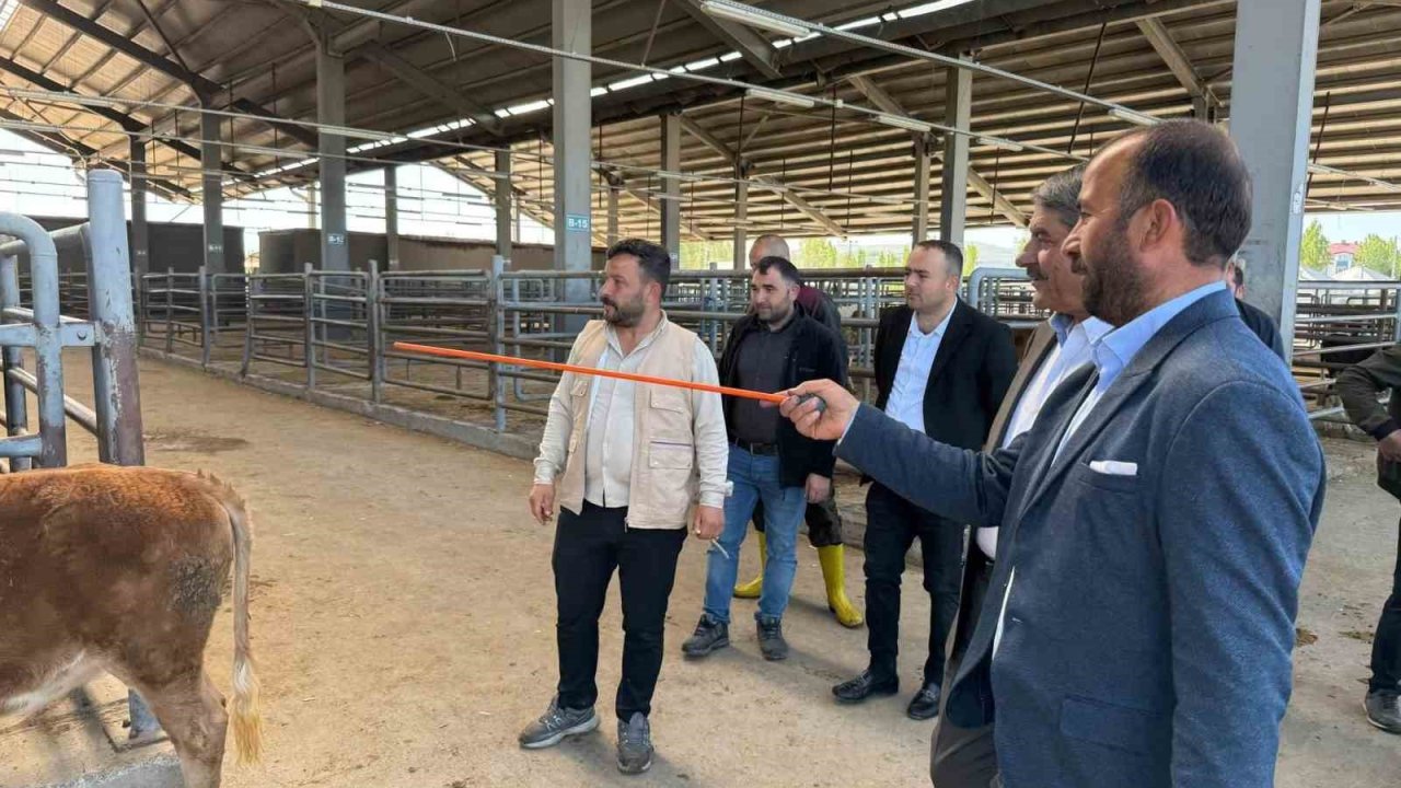 Belediye Başkanı canlı hayvan borsası ve et entegre  tesisinde incelemelerde bulundu.