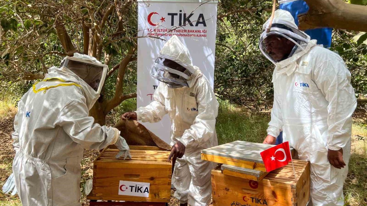 TİKA’dan Sudan’da arıcılığa destek