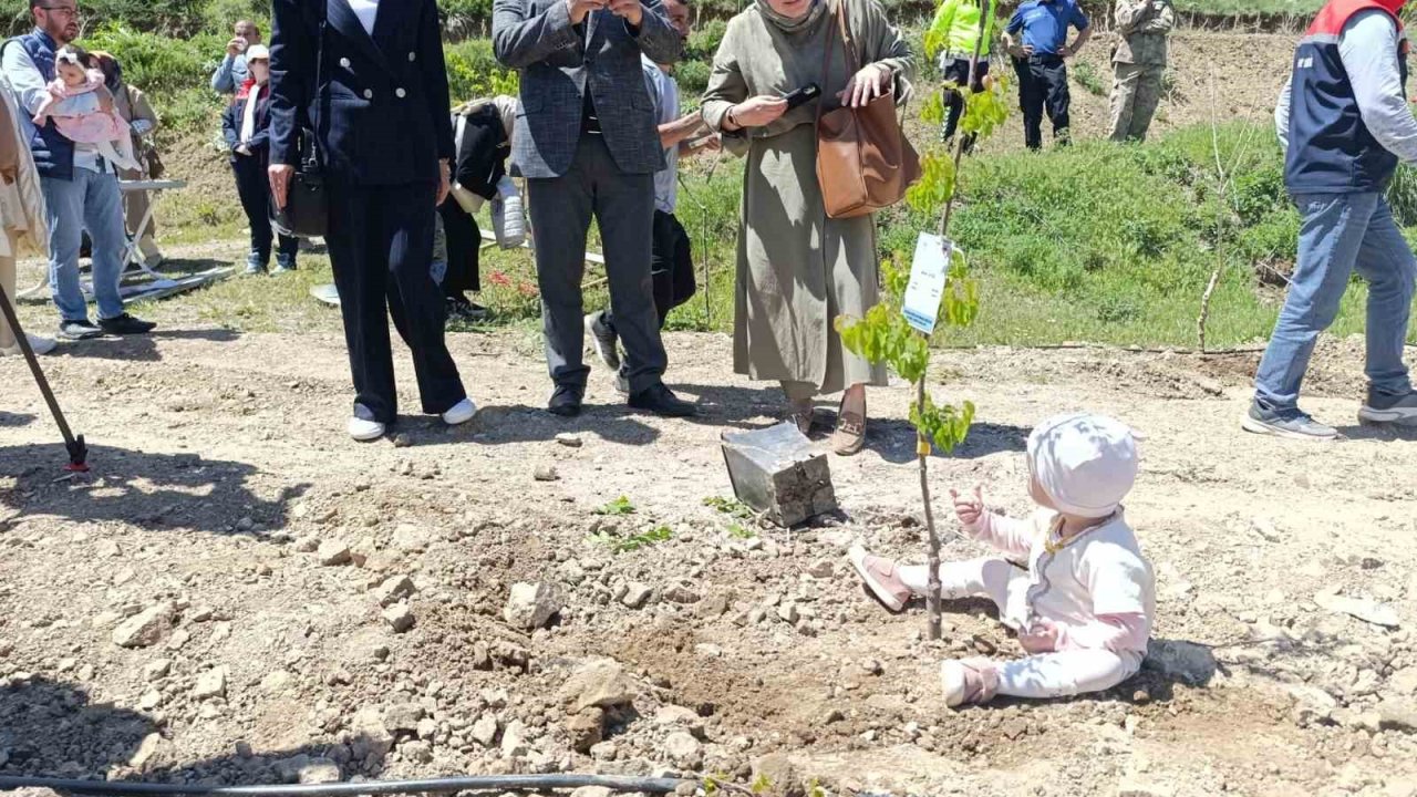Yeni doğan bebekler hatıra ormanına ilk fidanlar dikildi