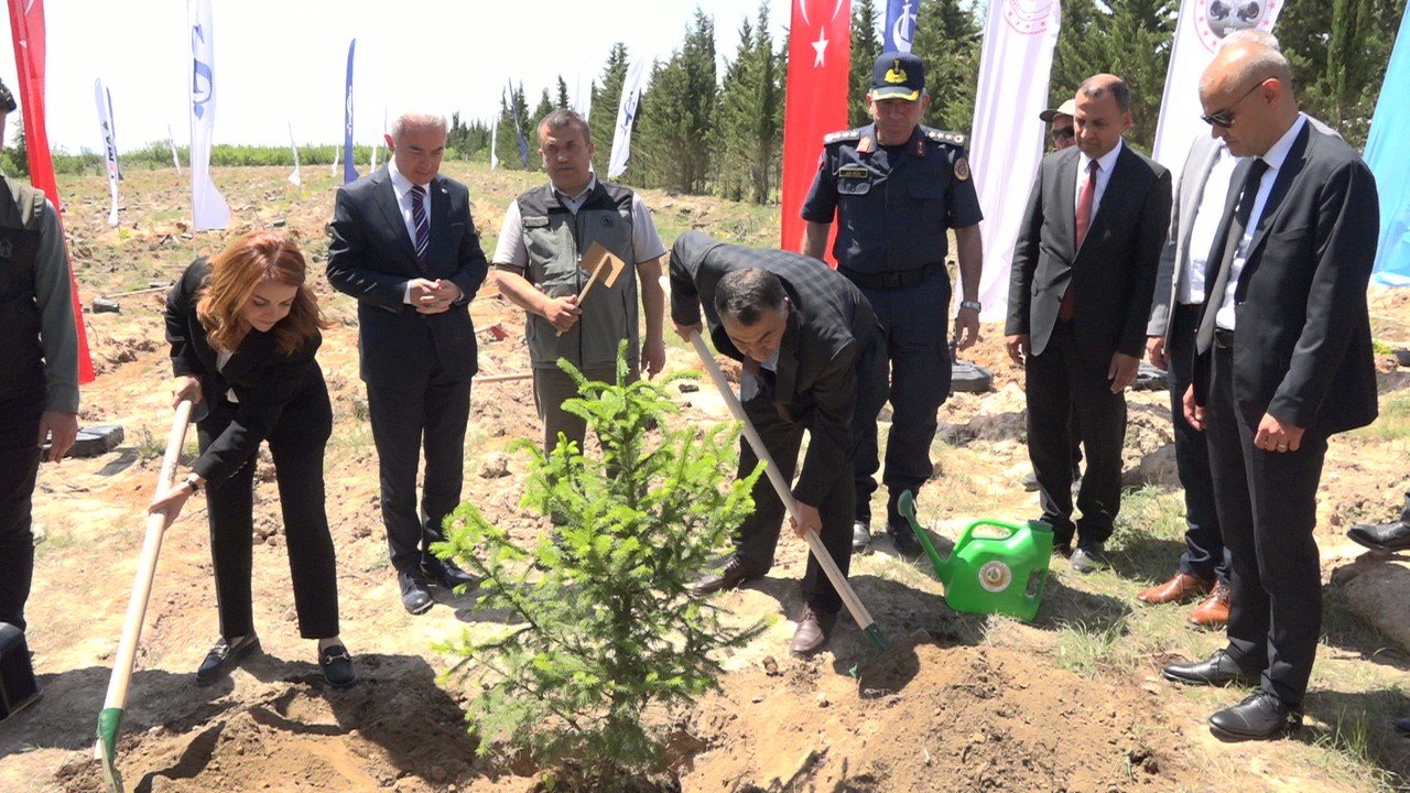 Türkiye’de "81 İlde 81 Orman" projesi kapsamında 81 ilde 2,2 milyon fidan toprakla buluşacak