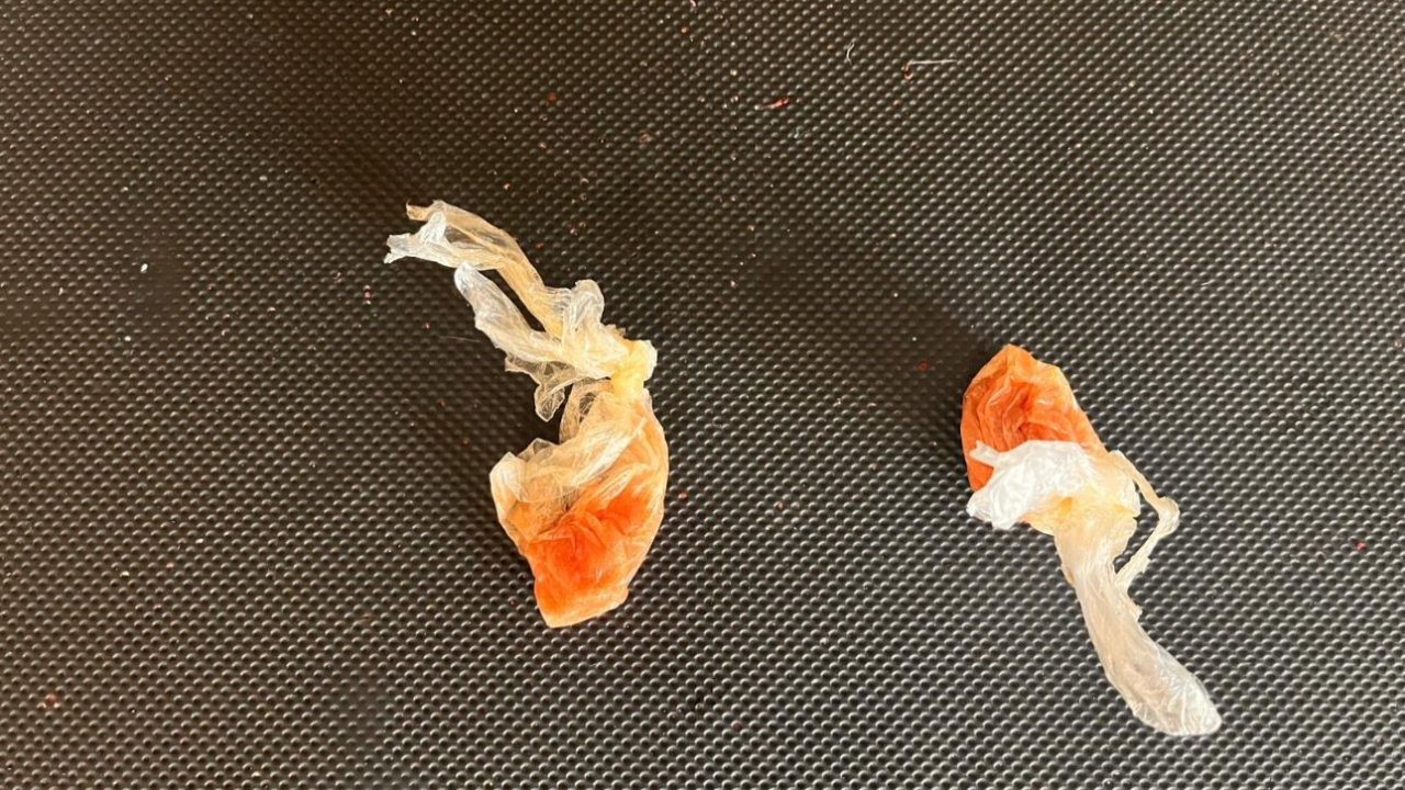 Uyuşturucu ham maddesi ele geçirildi