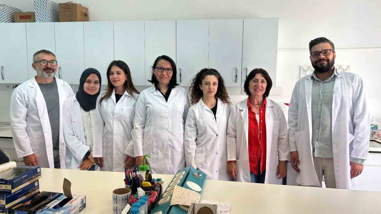 MSKÜ’den bilimsel başarı: ACS Omega kapağında yer aldı