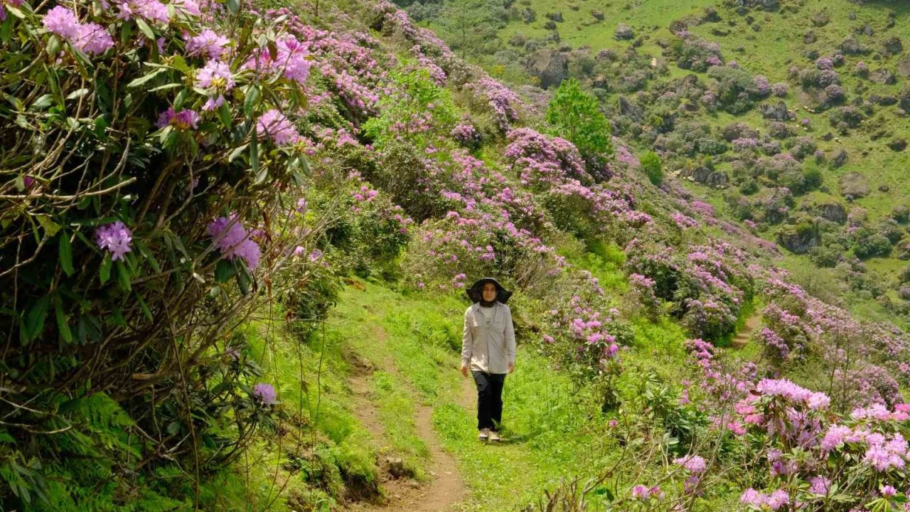 Gümüşhaneli dağcılardan Sis Dağı’na yürüyüş