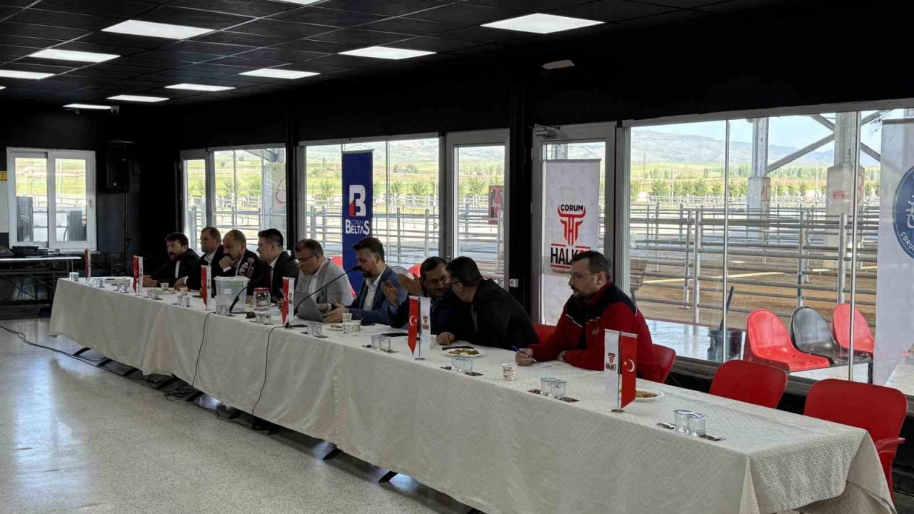 Kurban pazarı için geri sayım başladı: Padoklar kura ile belirlendi