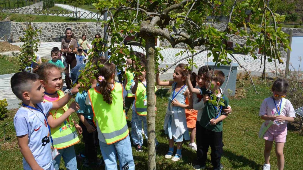 Minik öğrenciler doğayla tanıştı