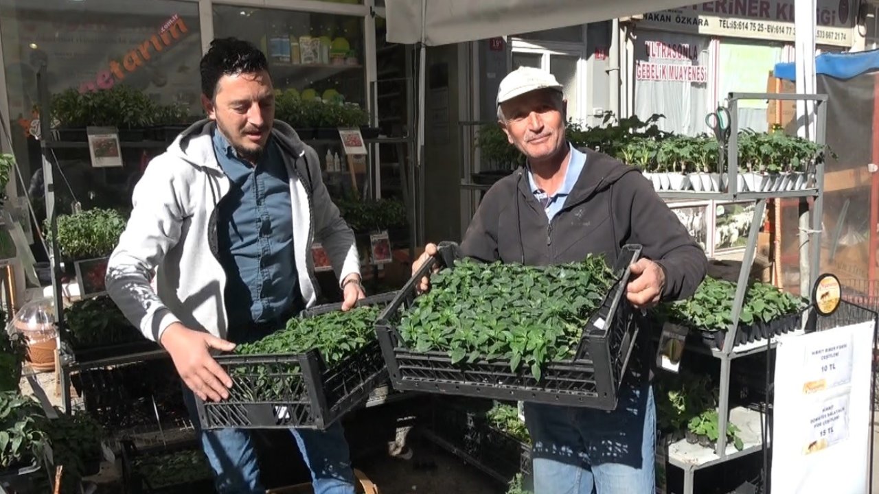 Tavşanlı’da fide çeşitliliği ile verimli sezon bekleniyor