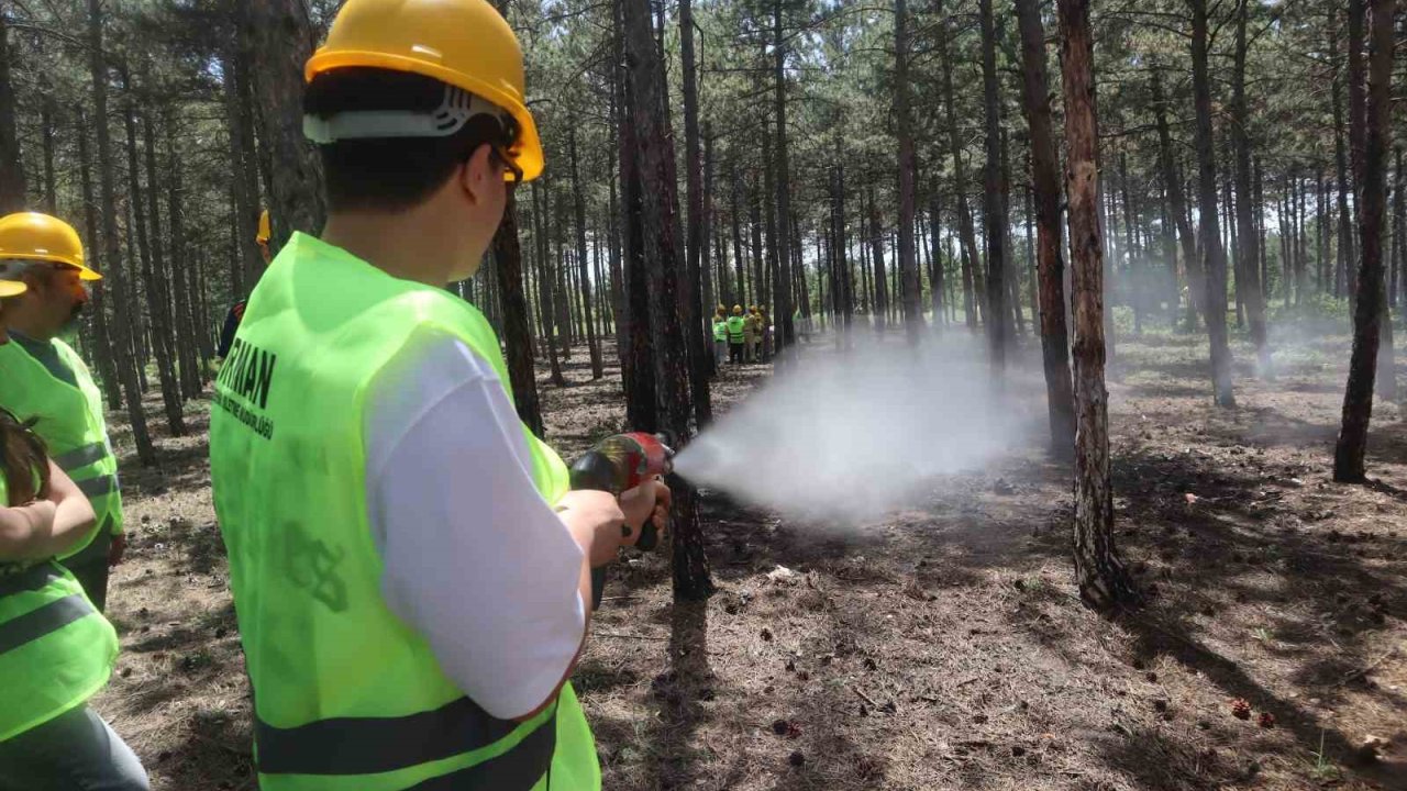 Avrupa Birliği destekli ’İnsan Kaynaklı Orman Yangınları’ tatbikatı gerçekleştirildi