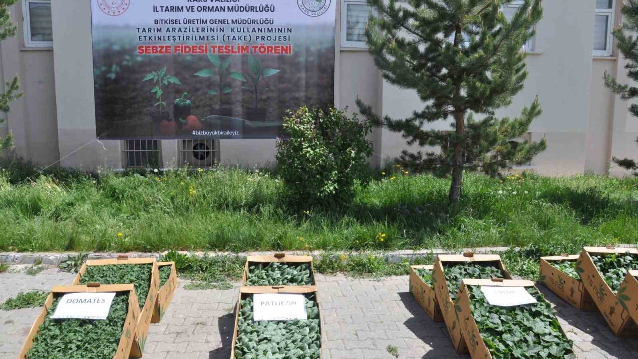 Kars’ta binlerce sebze fidesi dağıtıldı