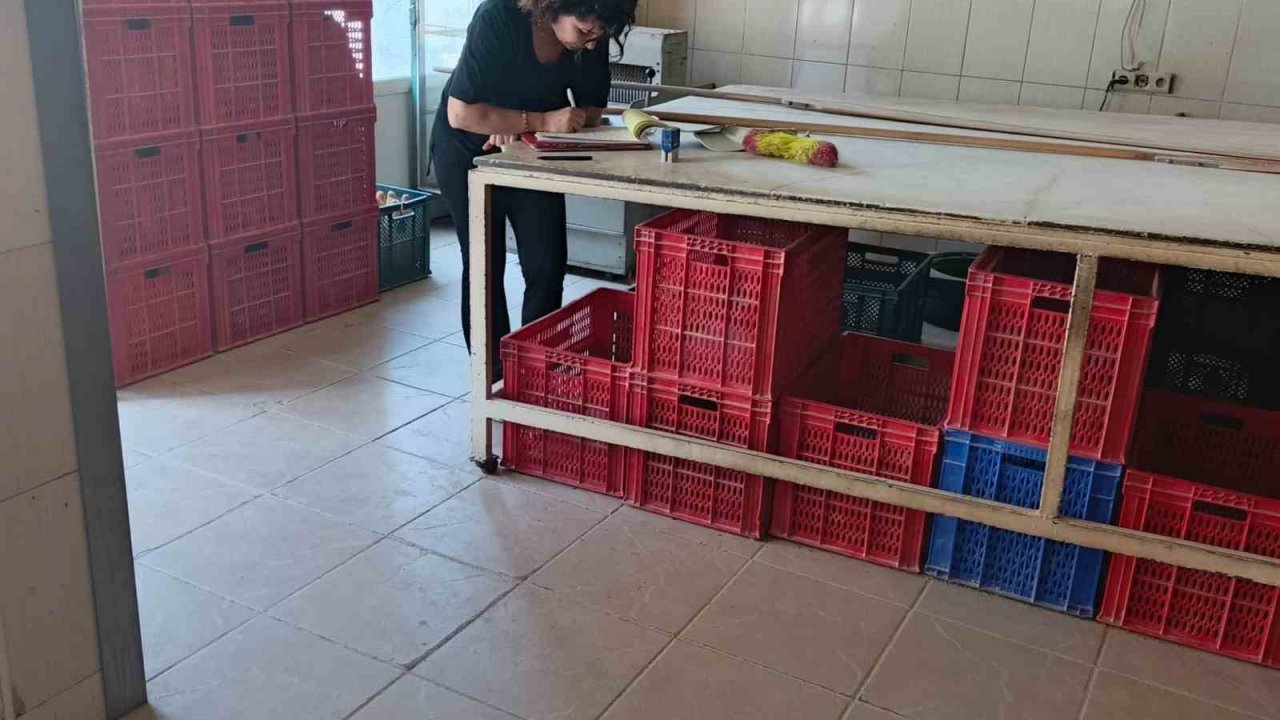 Söke’de riske dayalı gıda işletmeleri denetlendi