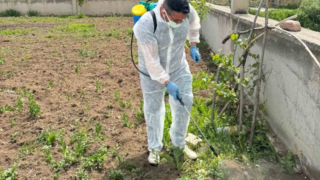 Aydıntepe’de yabancı ot mücadelesi başlatıldı