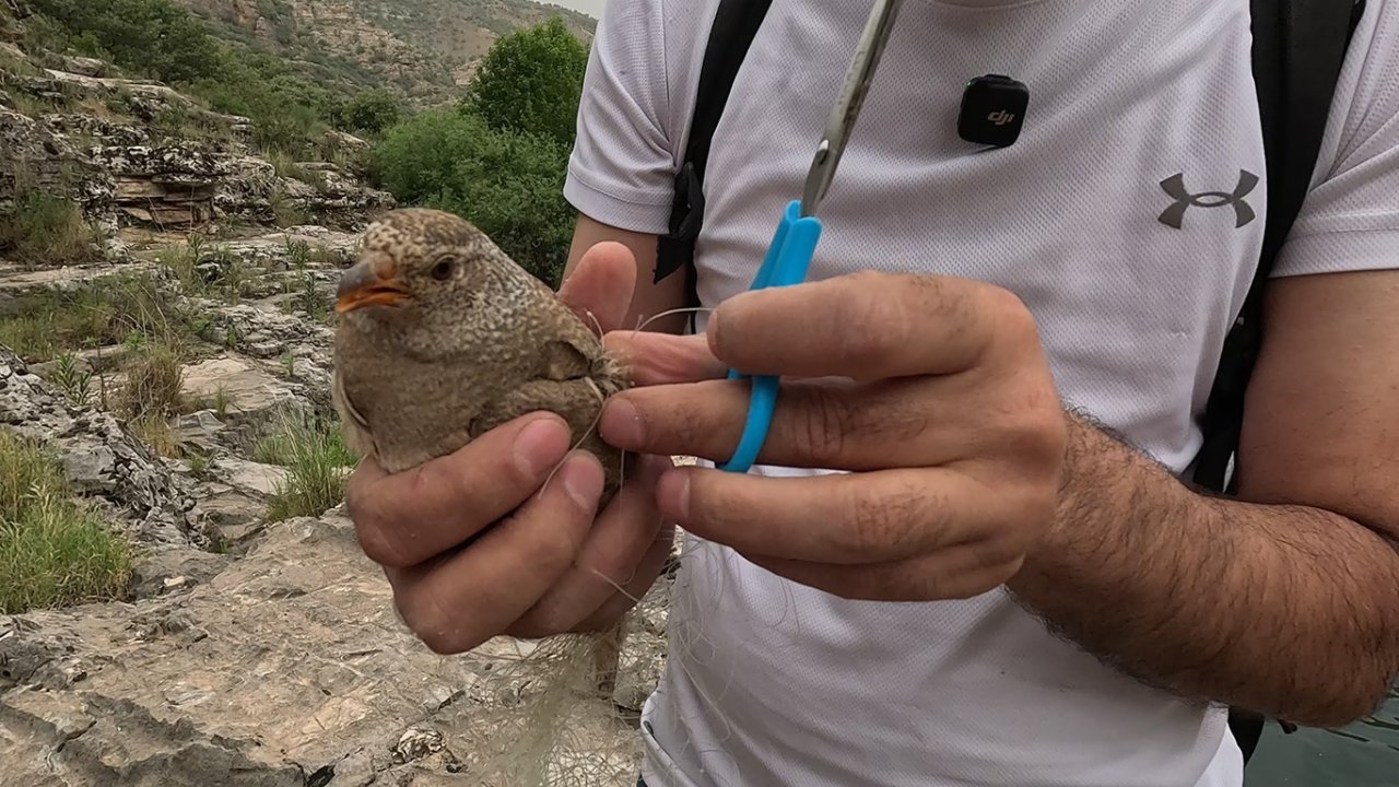 Cehennem Deresi’nde kum kekliği operasyonu