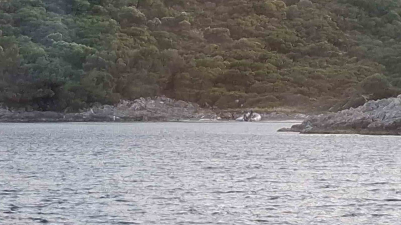 Yasak bölgeye zodyak botla gelen 3 şahıs yakalandı