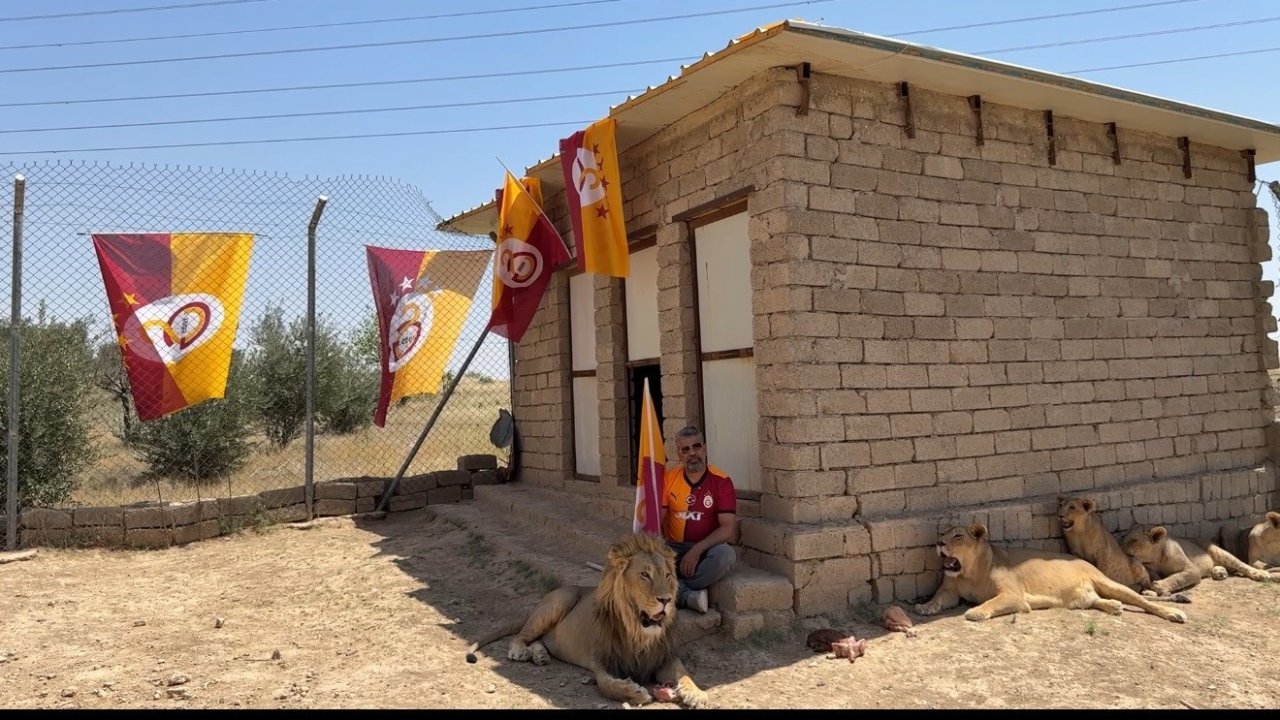 Galatasaraylı taraftar, şampiyonluğu aslanlarıyla kutladı