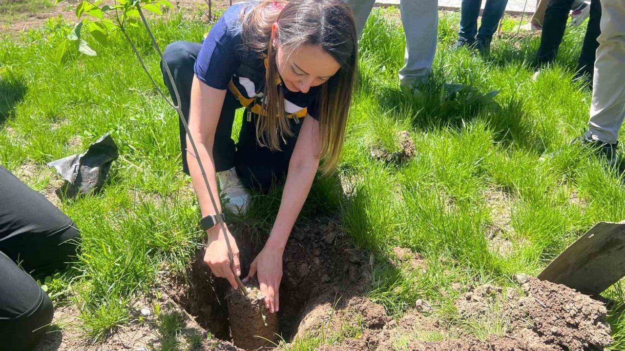 Ağrı’da "Cilt Kanseri Farkındalık Ayı" kapsamında fidan dikimi etkinliği düzenlendi