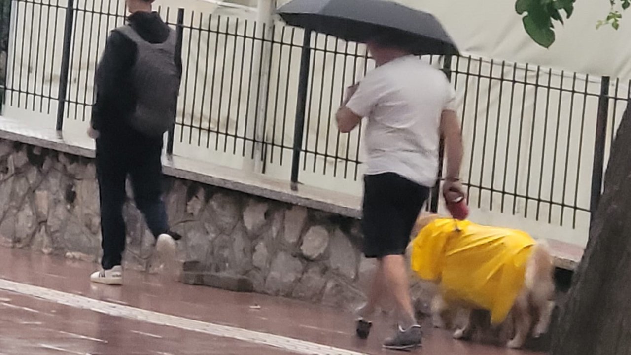 Aydın güne yağmurla uyandı