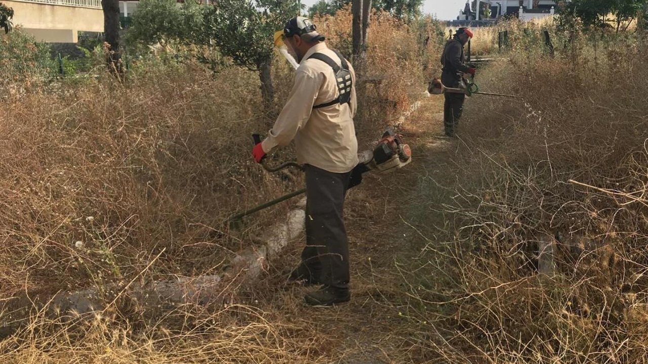 Didim Belediyesi’nden ’kuru ot’ seferberliği