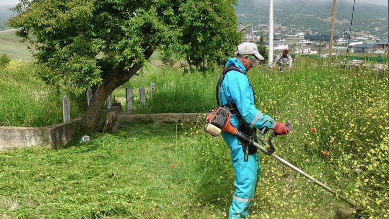 Körfez’de yabani otlarla mücadele sürüyor