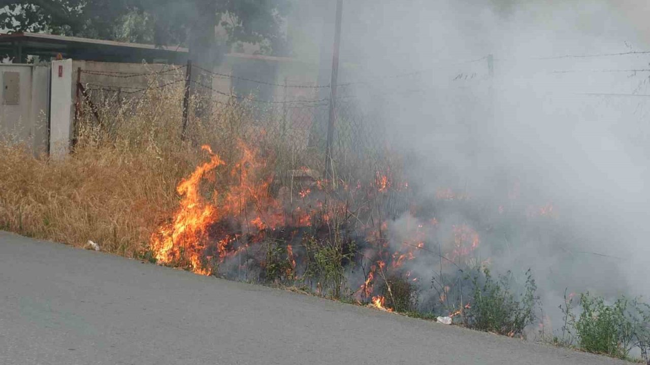 Burhaniye’de ot yangını korkuttu