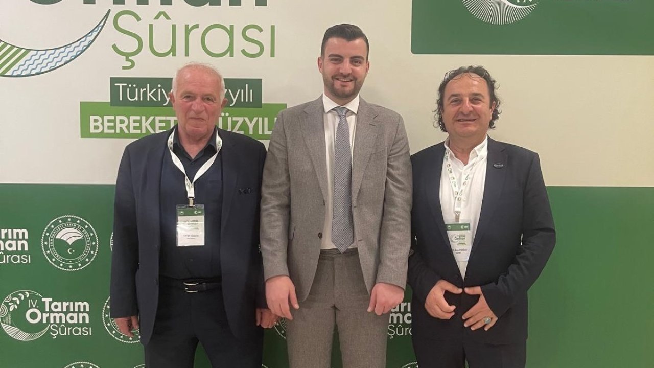 Ahşap palet sektöründen 18. madde çağrısı: "Palet havuzu modeli için hazırız"