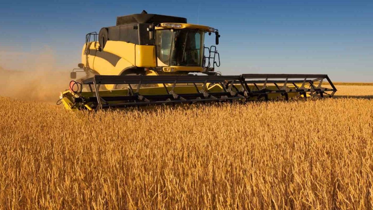 Adana ve Mersin’de 2025 yılı buğday biçim ücretleri belirlendi