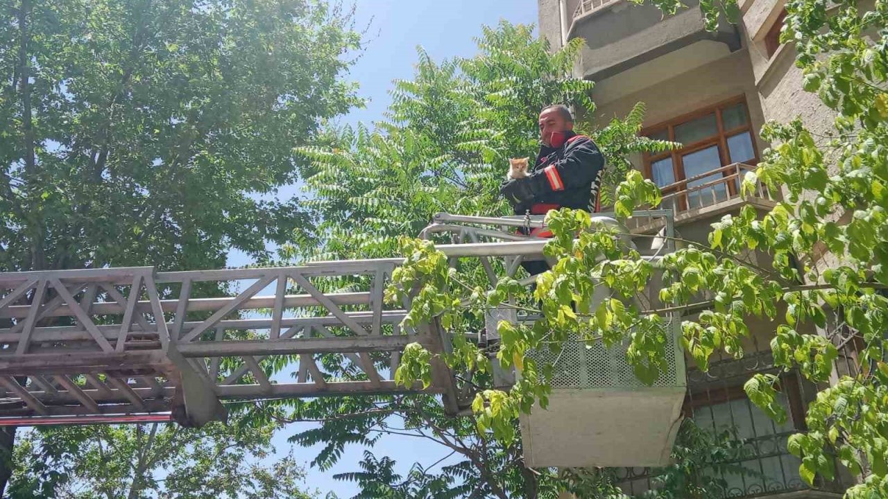 Malatya’da metruk evin penceresine sıkışan kedi itfaiye tarafından kurtarıldı