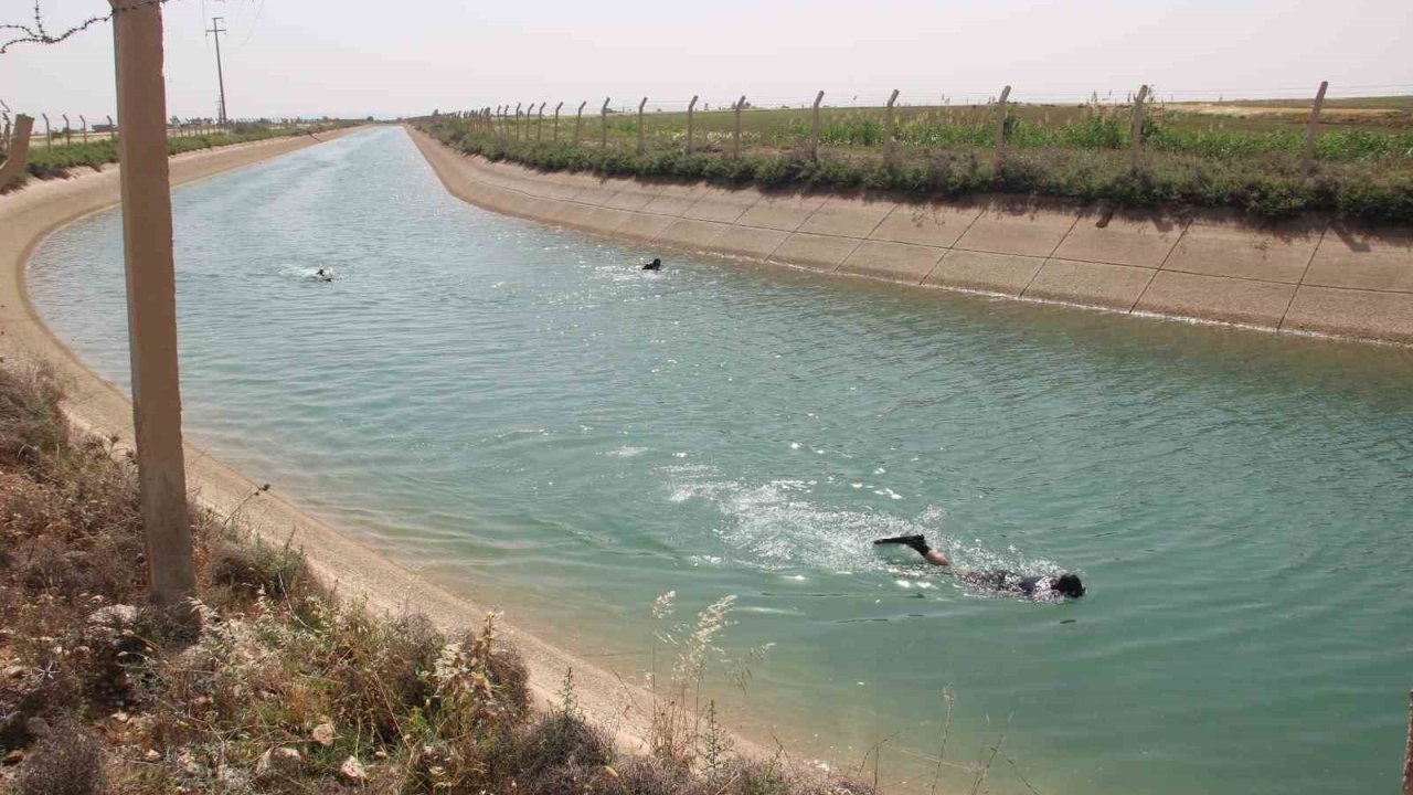Şanlıurfa’da sulama kanalına düşen çocuk aranıyor