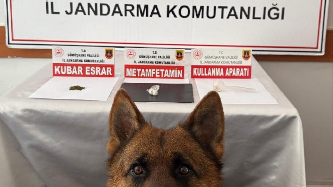 Gümüşhane’de uyuşturucu operasyonu