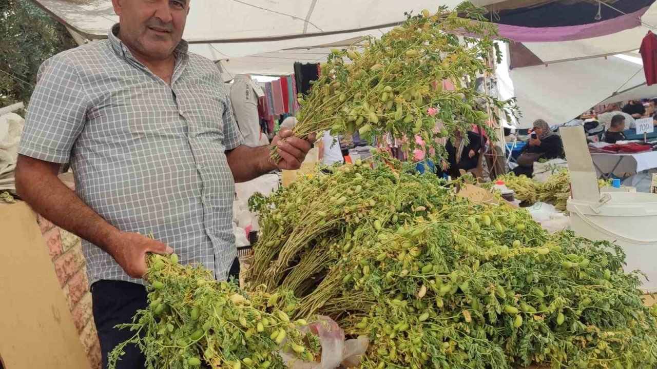 Yeşil nohut tezgahlarda yerini aldı