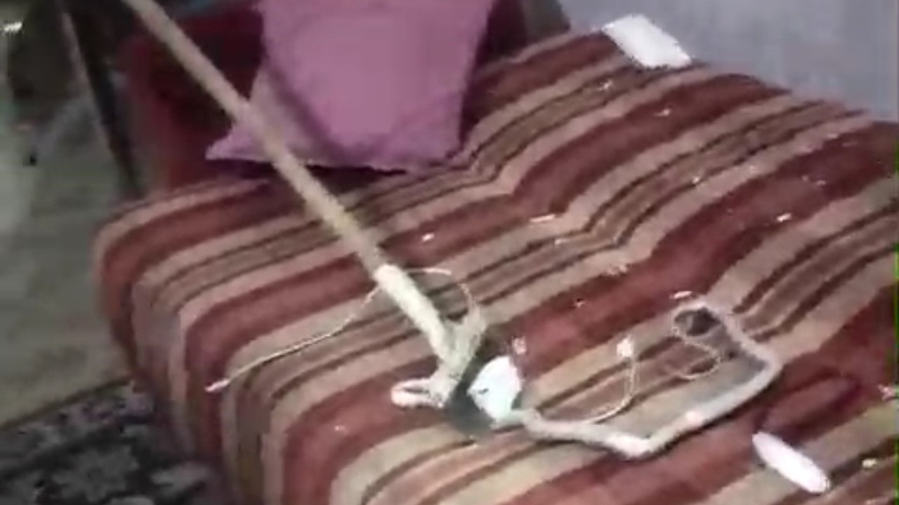Mardin’de evde yakalanan yılan doğaya salındı