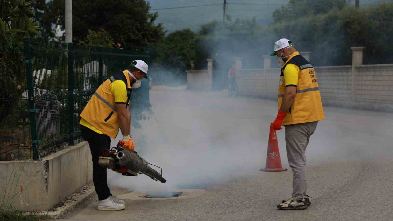 Akyazı’da ilaçlama çalışmaları aralıksız devam ediyor