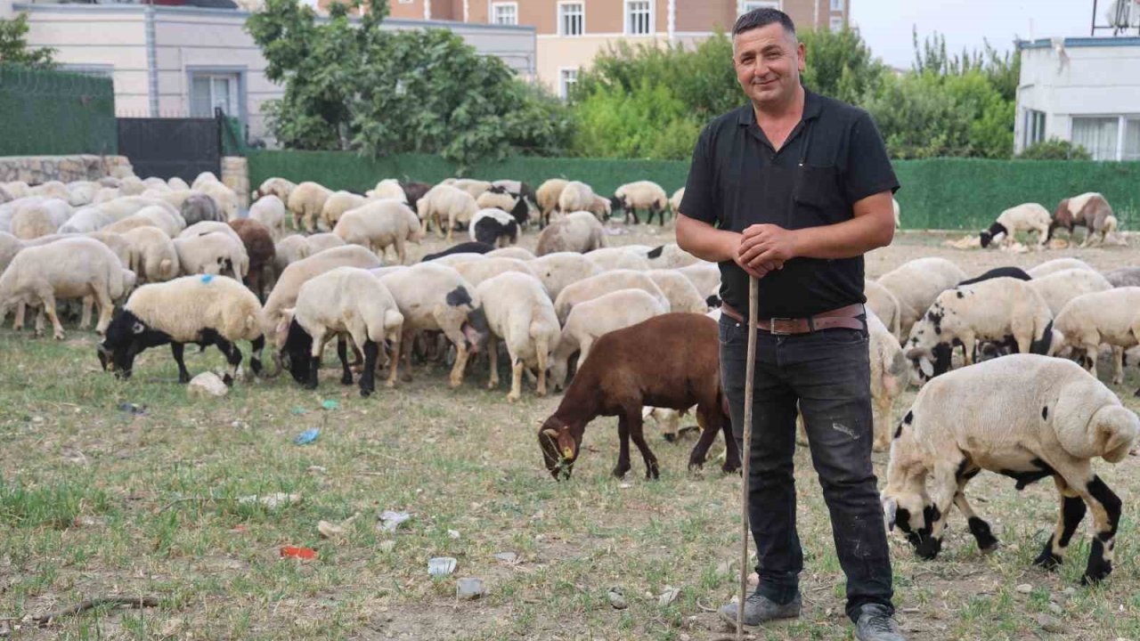 Depremzede vatandaşların memleketlerine dönüşü kurbanlıklara olan rağbeti arttırdı
